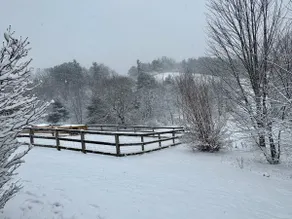 Charming Homestead - 1.2 miles from town of Floyd - Image 4