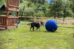 Dog & Family Friendly SoHa Oasis - Image 2