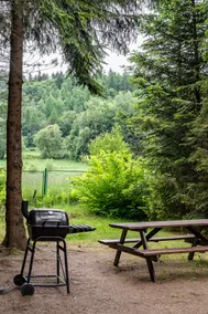 Forest hut with Jacuzzi/swimming pool - Image 3