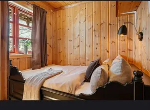 Small cabin in the middle of everything - Image 5