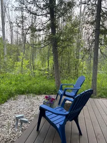 Magical Forest Retreat - Image 4