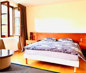 2-room flat in Geneva Old Town - Image 2