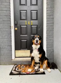 Evie's Endzone- Pet Friendly, Prime Location - Image 5