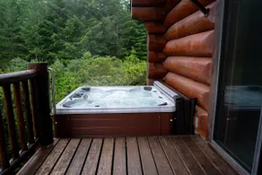 Luxury Log Home- hot tub, golf, views - Image 2