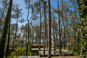 Magnetoria Beach House • Private Yard & BBQ • Sea - Image 2
