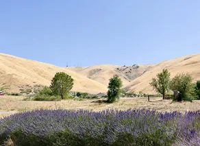 The Nomad Ranch - Image 4