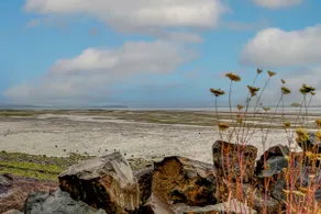 Willapa Bay Waterfront Cottage | Sleeps 8 - Image 2