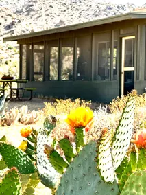 Joshua Tree Dream Weaver hot tub & National Park - Image 3