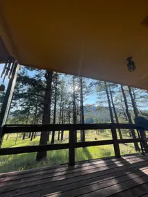 “Scout’s House” cabin on 2 acres, sleeps 10 - Image 4