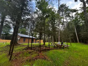 Cozy Cabin in the Northwoods-Forest Retreat - Image 3