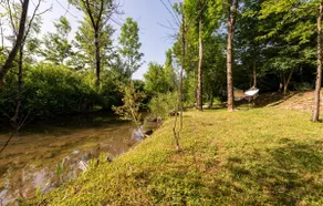 an oasis of peace. - Image 5