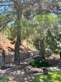 Peaceful Oasis on The Westside - Image 5