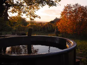 Baglyashegy Guesthouse with hot tub - Image 2