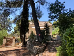 House in the pine forest. - Image 4