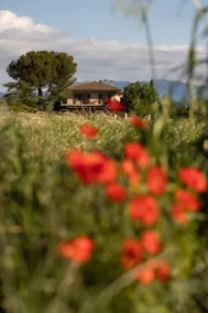 Nature pearl! Private, spacious, lake view! Garden! - Image 2