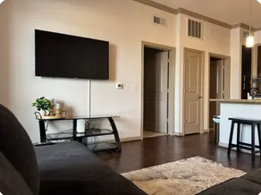 Luxury Houston Apartment - Image 5