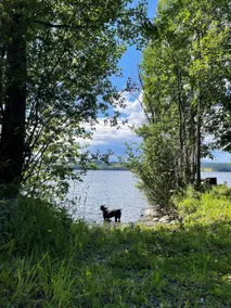 Cozy cottage near Storsjön - Image 4