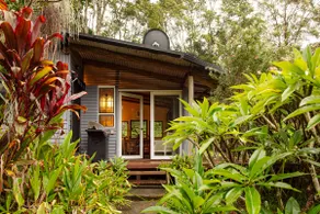 Heritage Cabin | Clawfoot bath in the rainforest - Image 4