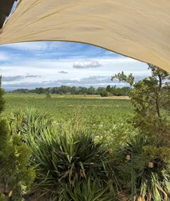La paillote , gîte 3 ,confort toutes saisons - Image 4