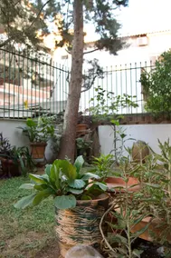 Comfortable studio in Gerakas - Image 5