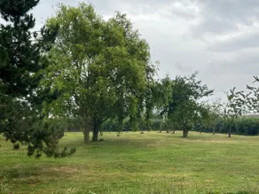 Country house - Image 2