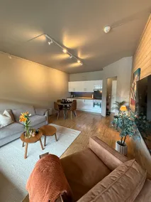 Geiloholtet city apartment - Image 2
