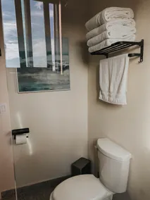 Superior King Double Suite - Image 3