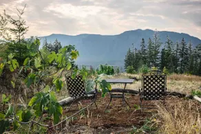 Fernwood Suite with Mountain View Sauna - Image 5