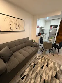 Elegant apartment in downtown Santiago - Image 2