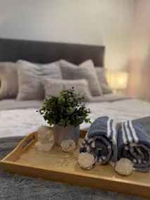 Spacious Entire Lower Level Suite - sleeps 4 - Image 4