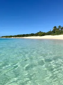 Newly Renovated & Centrally located near the Beach - Image 2