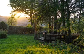 Ashdown Forest Guest House - Image 4