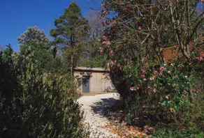Ashdown Forest Guest House - Image 3
