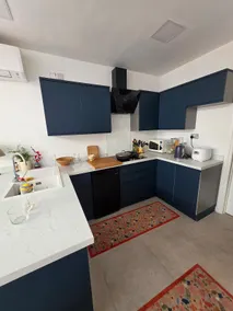 Bee Hive Studeo Rear Extension - Image 5
