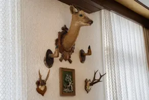 Seppels Stube Suite | Heritage & Cozy I Terrace - Image 5