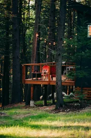 Modern Tiny Cabin Near Belgrade Lakes - Image 3