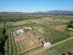 La rosa dei venti 'Scirocco' - Image 3