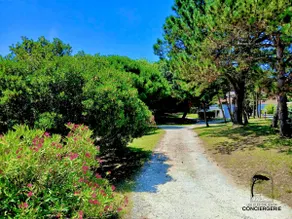 Small house - pools - beach - Image 5