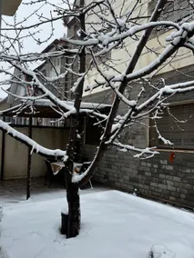 Cozy Apartment in Villa Ifrane - Image 2