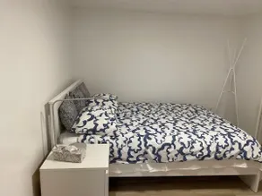 Entire Private Downtown Basement Suite w/ Parking - Image 4