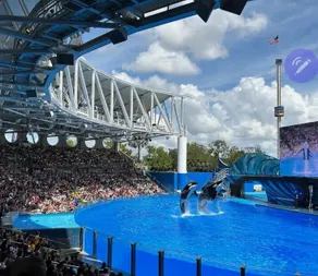 Orlando: City, Stadiums & Parks! - Image 4