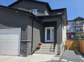 Elegant & Stylish Basement Suite- Private Entrance - Image 3