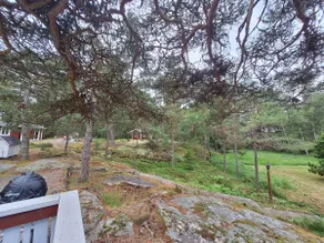 Rural cottage in a harmonious, seaside forest environment - Image 3