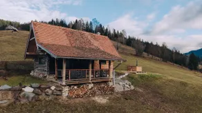 Wildernest in the Carpathians - Image 3
