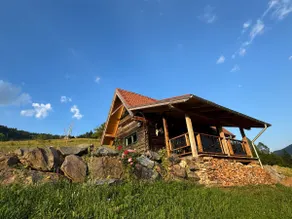 Wildernest in the Carpathians - Image 4