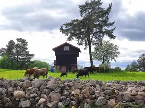 Härbre for rent - Image 5