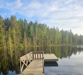 Grundtjärn cabin - Image 3