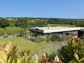Vacation home, private pool & whirpool jacuzzi outhouse377 - Image 3