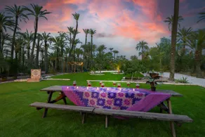 Historical Palms by Fidalsa - Image 4