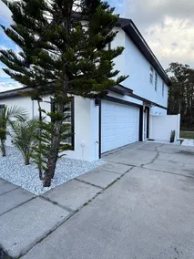 Palm & Peace Suite Private Studio in Wesley Chapel - Image 2